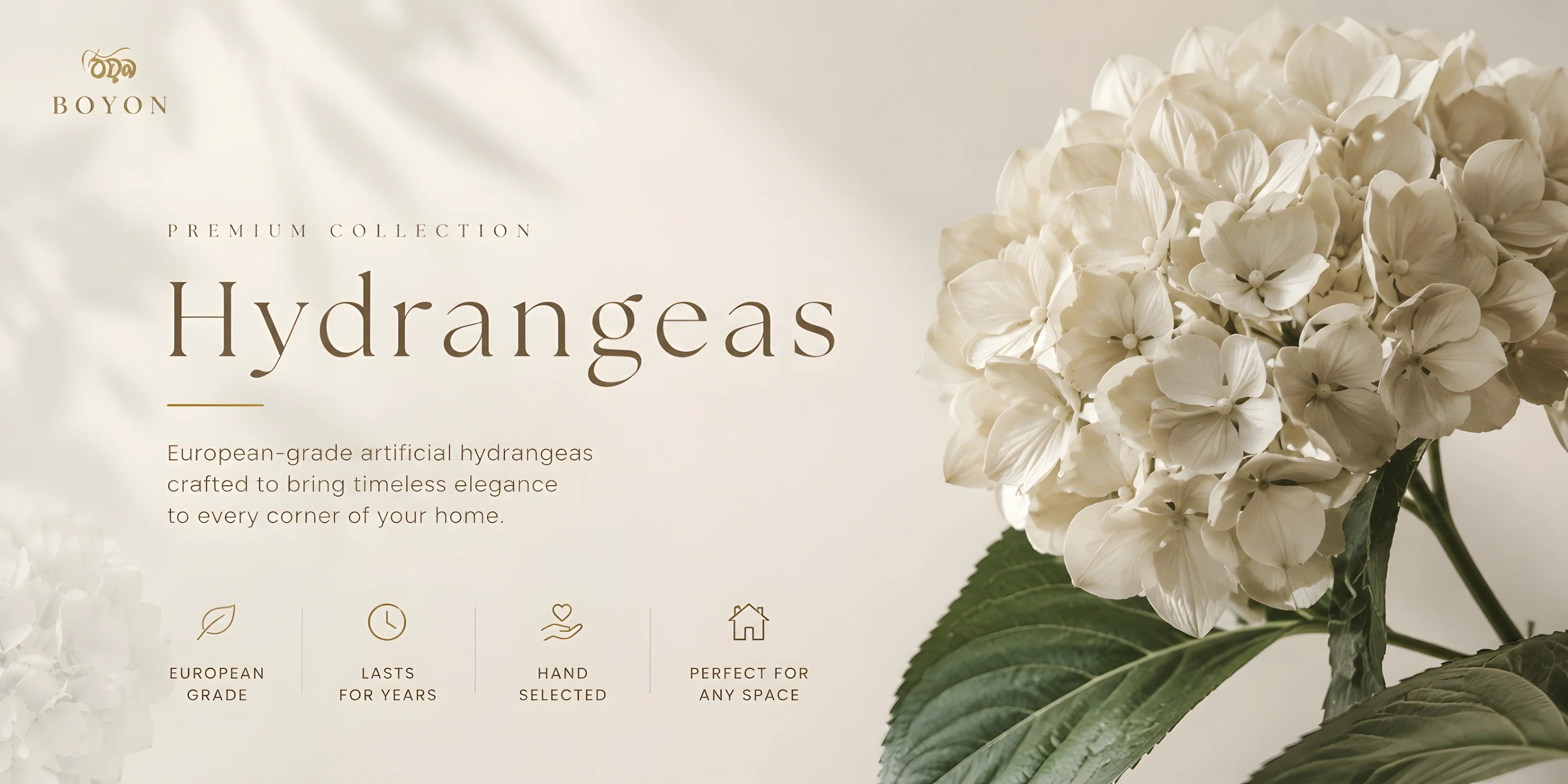 Hydrangeas