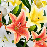 Yellow Aurelia Lily Artificial Flower Stem – 78cm (30 Inch) with 3 Blooms