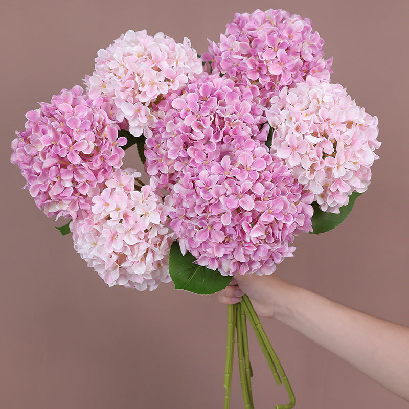 Light Pink Premium Imported Hydrangea Artificial Flower Stem – 66cm European Grade