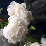 White European Vintage Rose Artificial Flower Stem – 21 Inch Triple Bloom