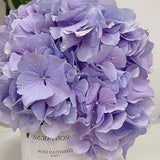 Purple Premium Imported Hydrangea Artificial Flower Stem – 66cm European Grade