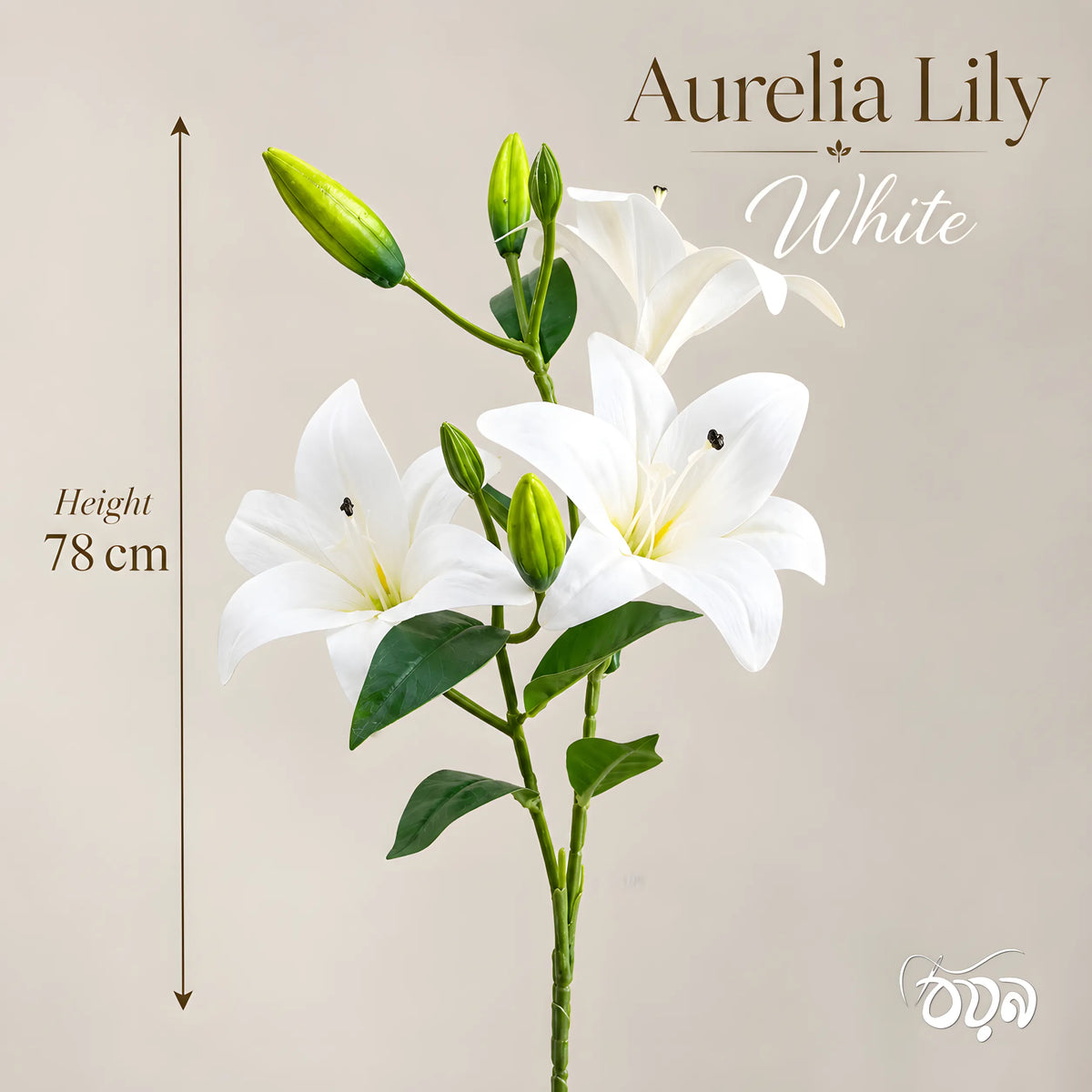 White Aurelia Lily Artificial Flower Stem – 78cm (30 Inch) with 3 Blooms