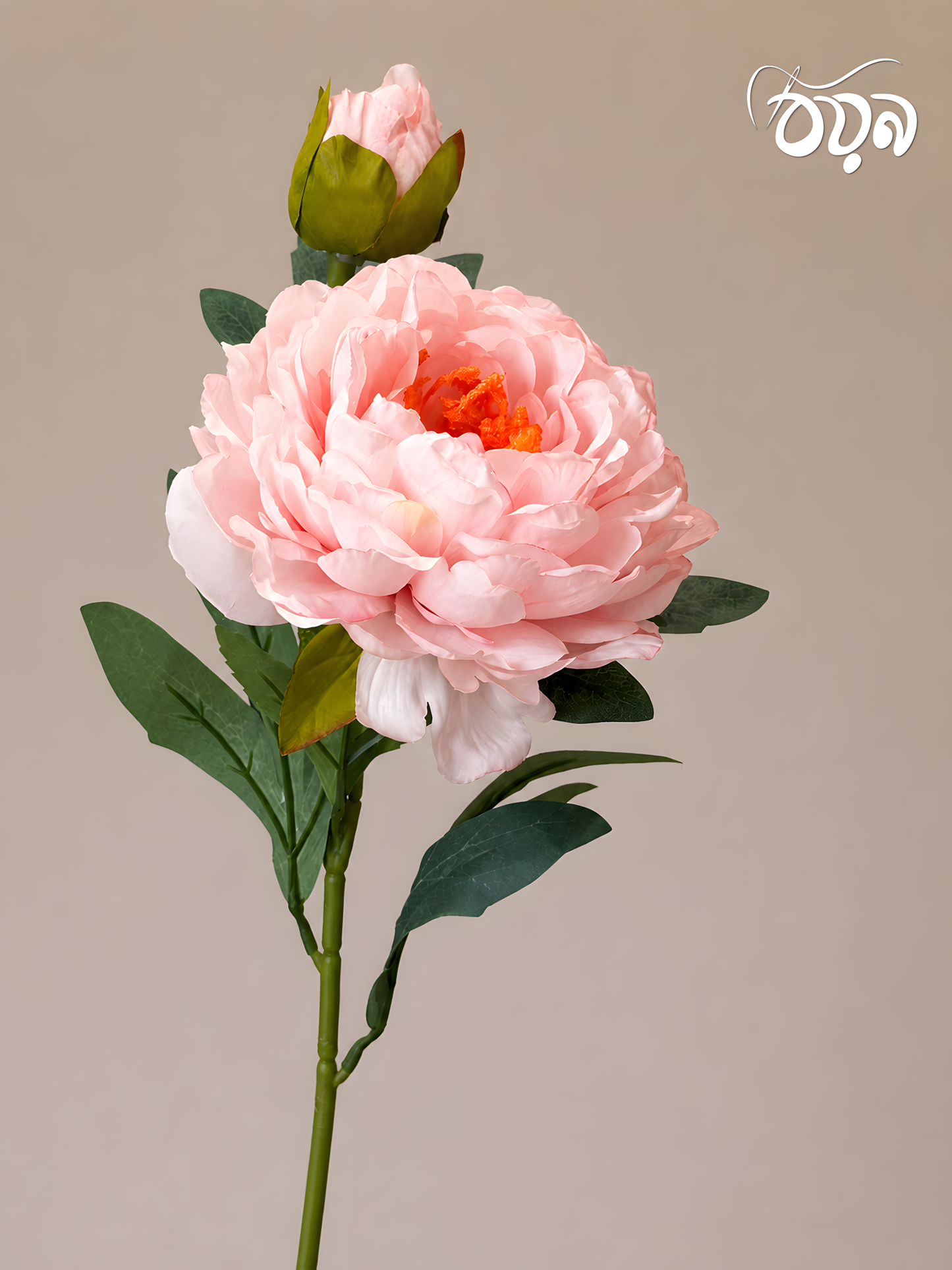 Light Pink Aurora Peony Artificial Flower Stem – 72cm Elegant Bloom with Bud