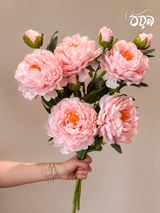 Light Pink Aurora Peony Artificial Flower Stem – 72cm Elegant Bloom with Bud
