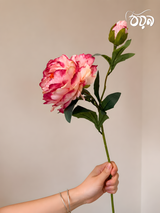 Deep Pink Aurora Peony Artificial Flower Stem – 72cm Premium Floral Decoration
