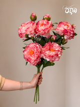 Deep Pink Aurora Peony Artificial Flower Stem – 72cm Premium Floral Decoration