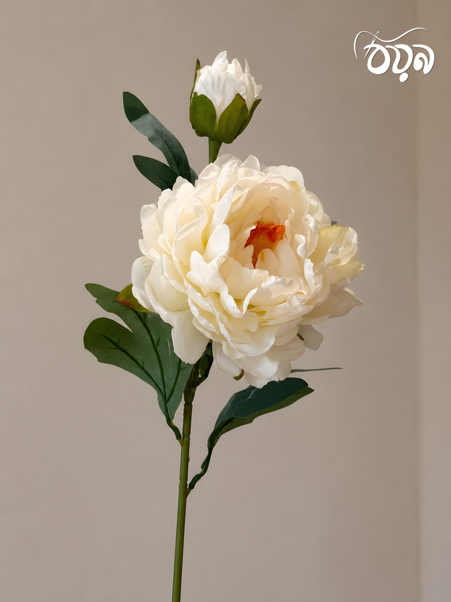 White Aurora Peony Artificial Flower Stem – 72cm Realistic Bloom with Bud