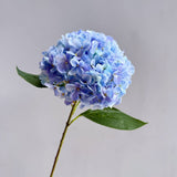 Light Blue Premium Imported Hydrangea Artificial Flower Stem – 66cm European Grade