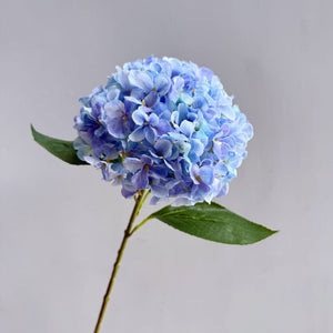 Light Blue Premium Imported Hydrangea Artificial Flower Stem – 66cm European Grade