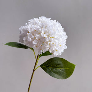 White Premium Imported Hydrangea Artificial Flower Stem – 66cm European Grade