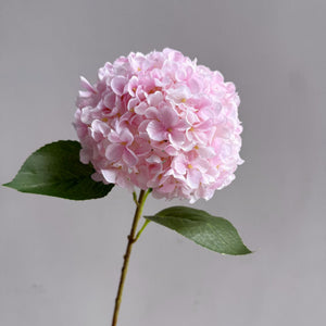 Light Pink Premium Imported Hydrangea Artificial Flower Stem – 66cm European Grade