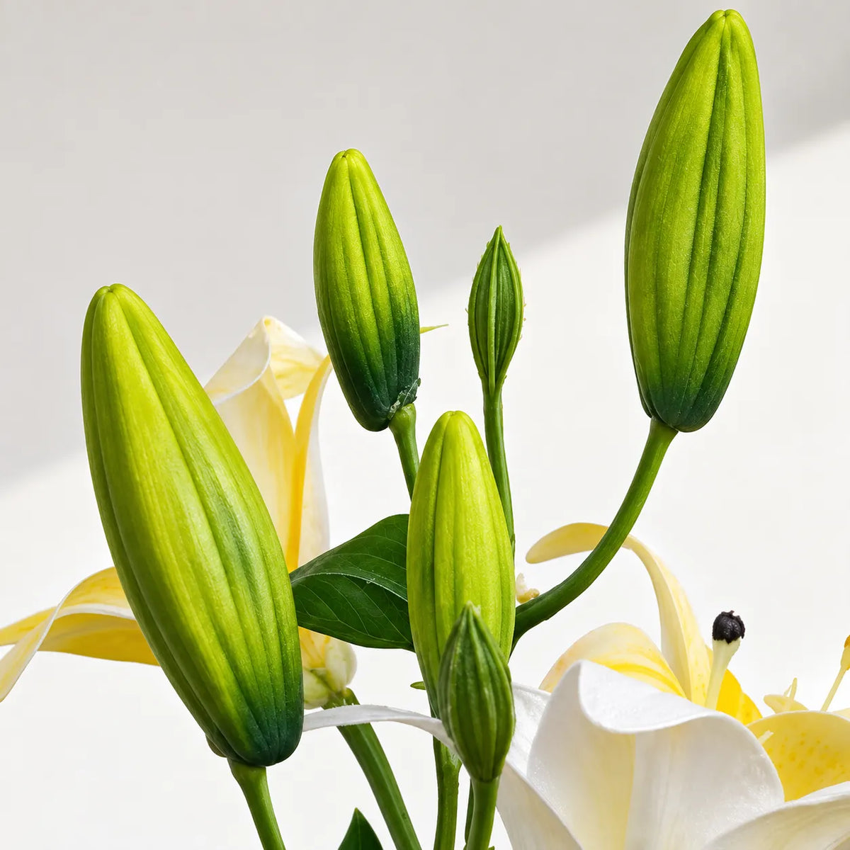 Yellow Aurelia Lily Artificial Flower Stem – 78cm (30 Inch) with 3 Blooms