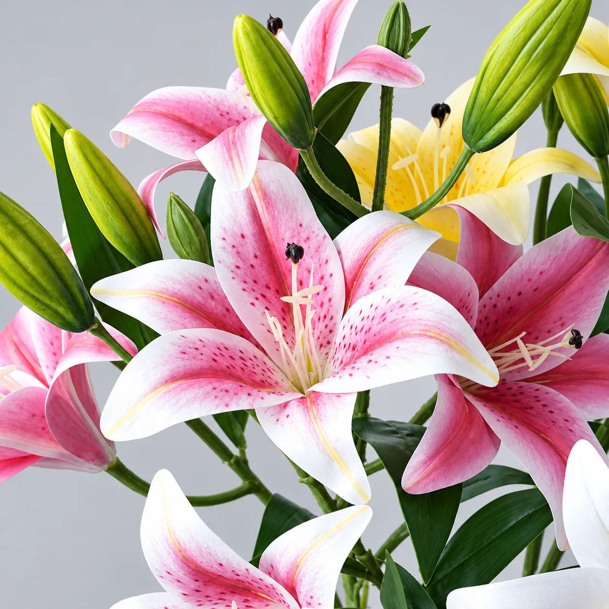 Light Pink Aurelia Lily Artificial Flower Stem – 78cm (30 Inch) with 3 Blooms