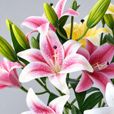 Light Pink Aurelia Lily Artificial Flower Stem – 78cm (30 Inch) with 3 Blooms