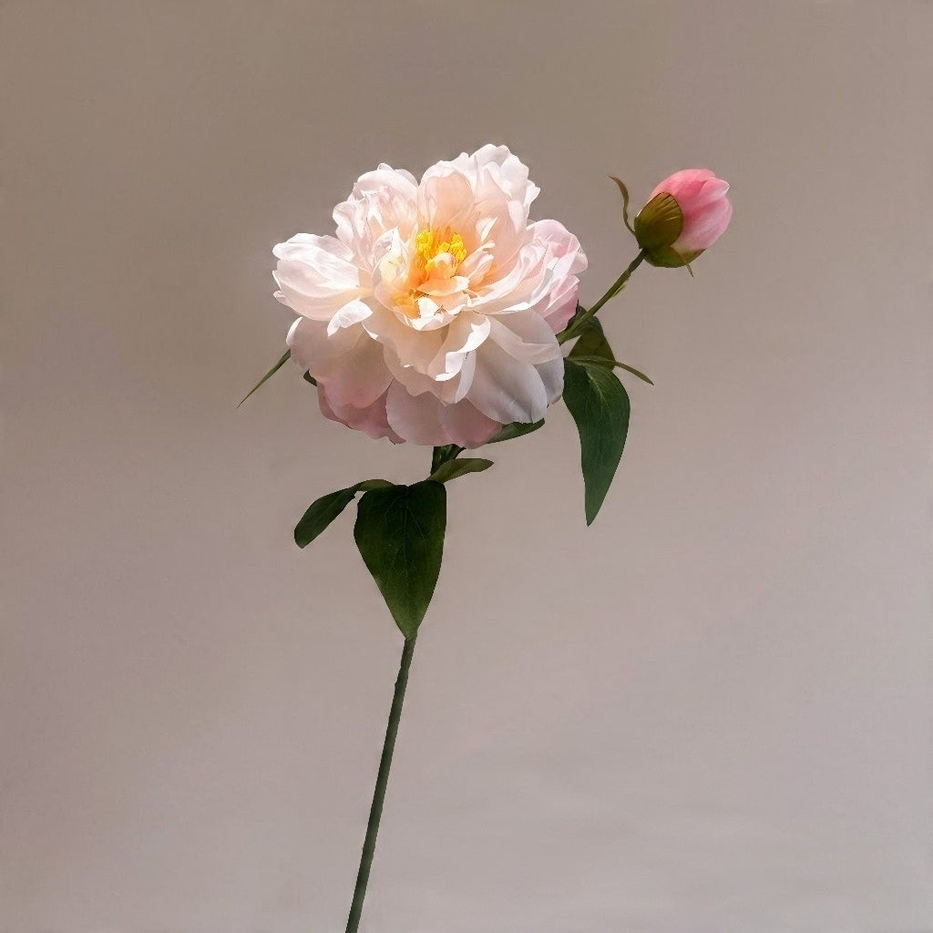 White & Pink Butterfly Peony Artificial Flower Stem – 65cm Dual-Tone Decorative Flower