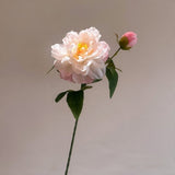 White & Pink Butterfly Peony Artificial Flower Stem – 65cm Dual-Tone Decorative Flower