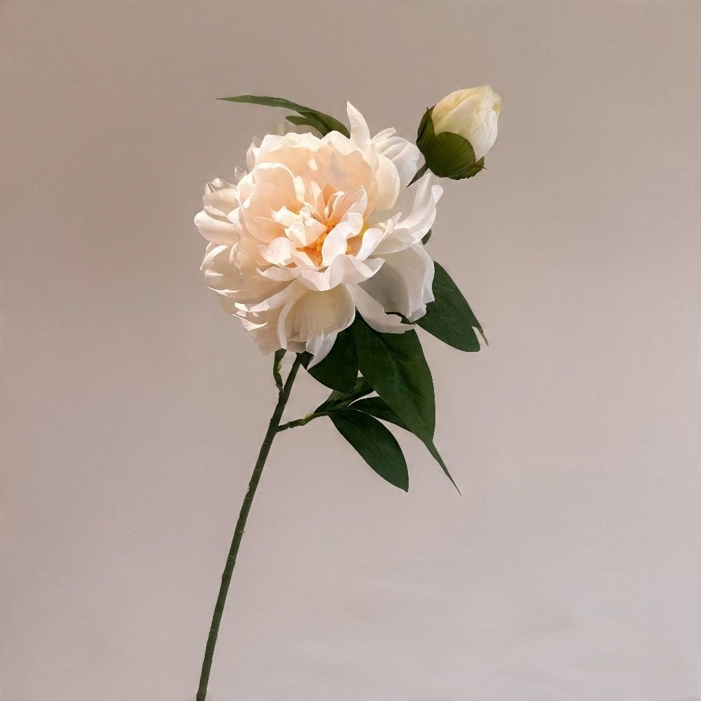 White Butterfly Peony Artificial Flower Stem – 65cm Realistic Bloom with Bud