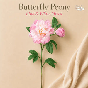 White & Pink Butterfly Peony Artificial Flower Stem – 65cm Dual-Tone Decorative Flower