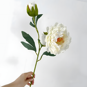 White Aurora Peony Artificial Flower Stem – 72cm Realistic Bloom with Bud