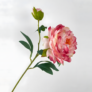 Deep Pink Aurora Peony Artificial Flower Stem – 72cm Premium Floral Decoration